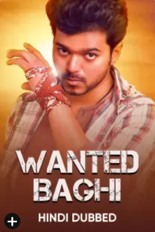 Wanted baghi 2007 11479 poster.jpg