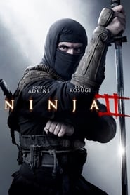 Ninja shadow of a tear 2013 hindi dubbed 23482 poster.jpg