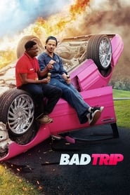 Bad trip 2021 hindi dubbed 25330 poster.jpg