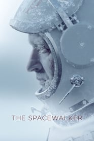 The spacewalker 2017 hindi dubbed 29007 poster.jpg