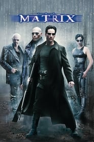 The matrix 1999 hindi dubbed 30393 poster.jpg