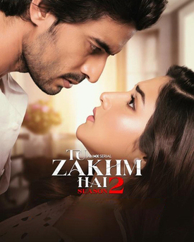 Tu zakhm hai 2023 hindi season 2 complete 37244 poster.jpg